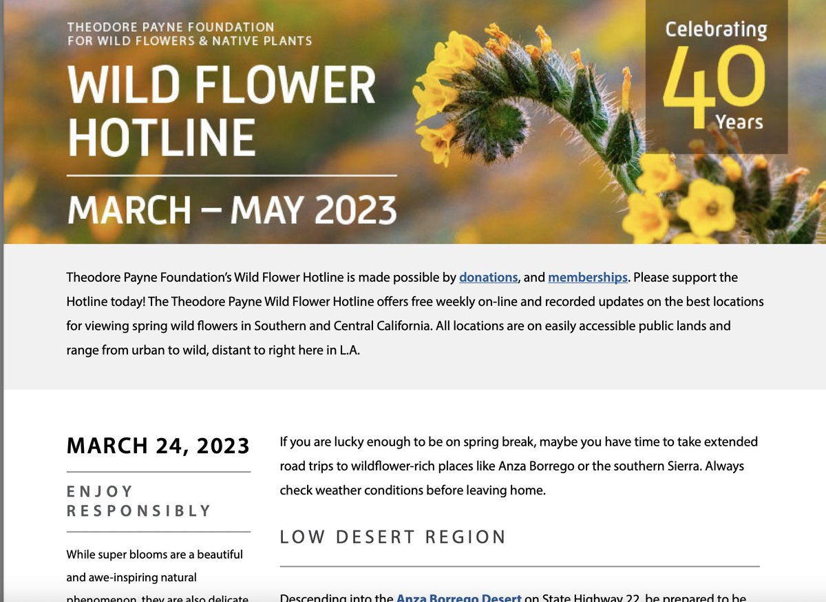 Theodore Payne tweet media