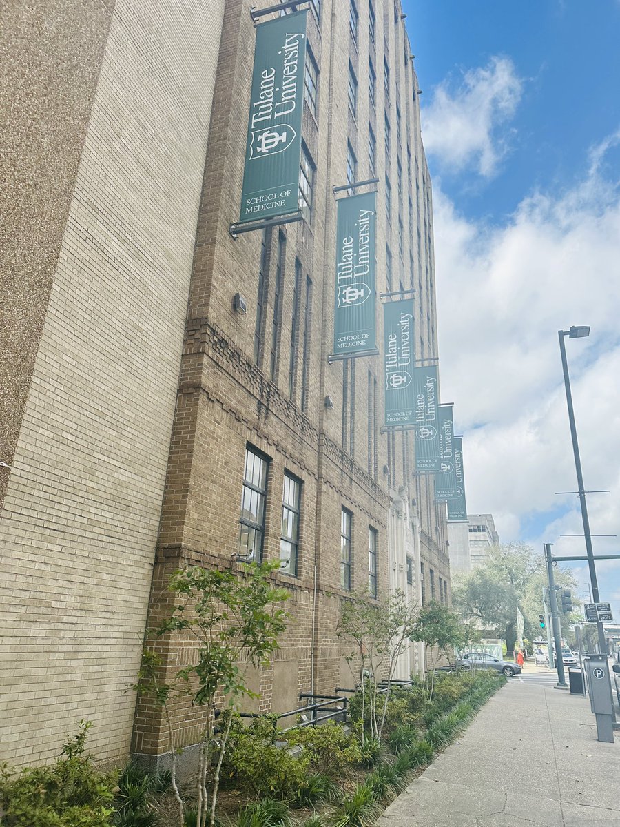 tulumni's tweet photo. It’s a beautiful Friday in New Orleans for Tulane SOM Class of 2013 Class Reunion! 💚 Late nights studying in this building are long gone for us!  @KayleenABailey @ErikRomanelli @Dr_Smietana @wbsmithii @LauraMDouglass @vjp8 @LekhaMikk @FernandoNussenb @acase2 https://t.co/lt6YbzWPCk
