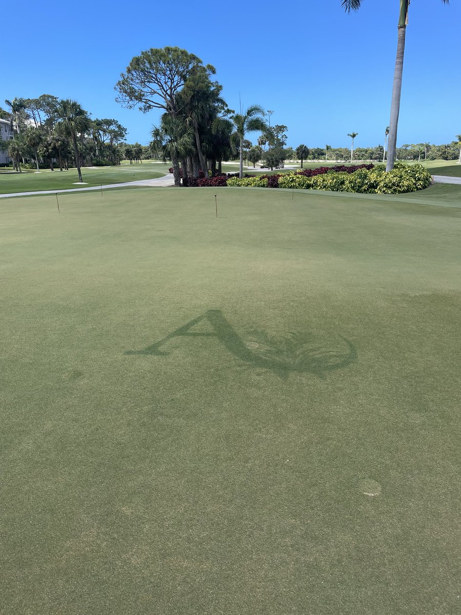 Stuart Wiseley tweet media