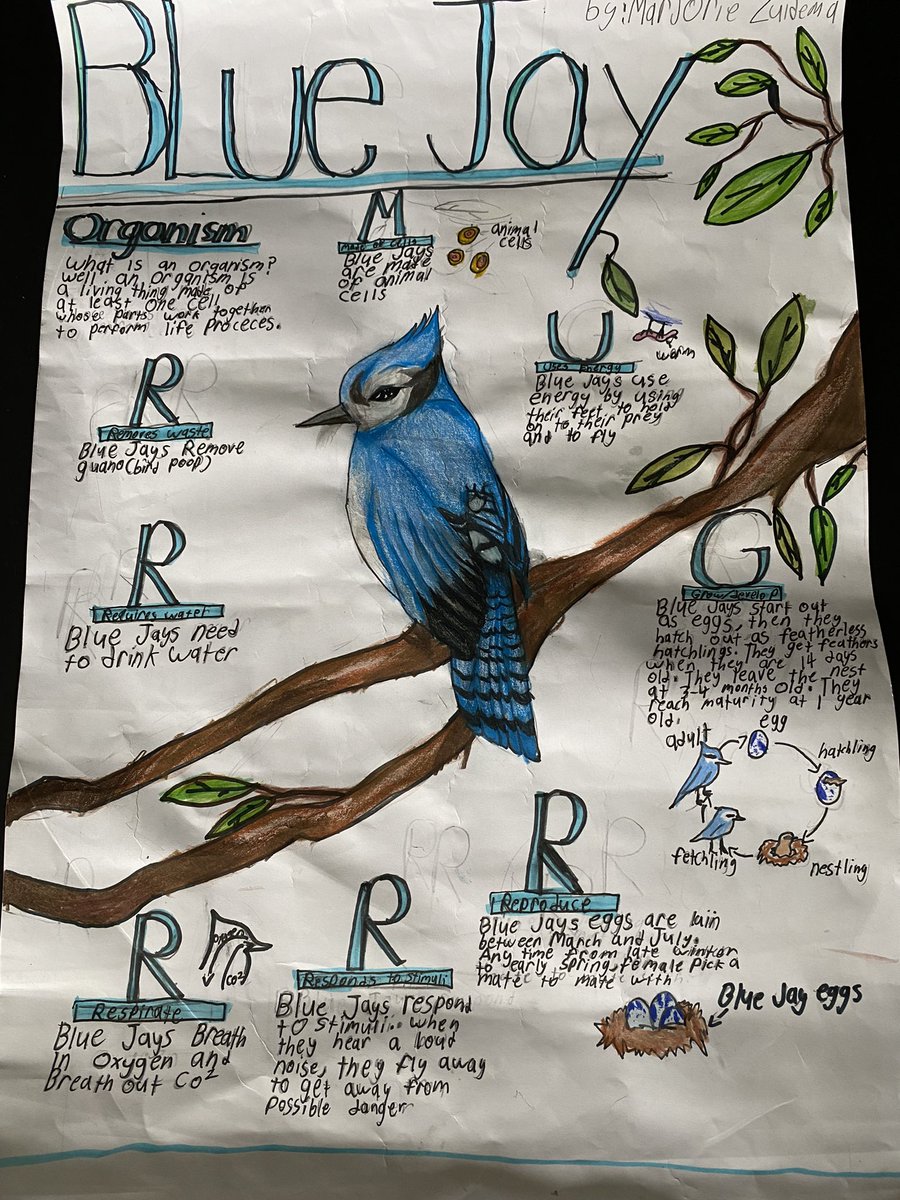 Brian Earls tweet media