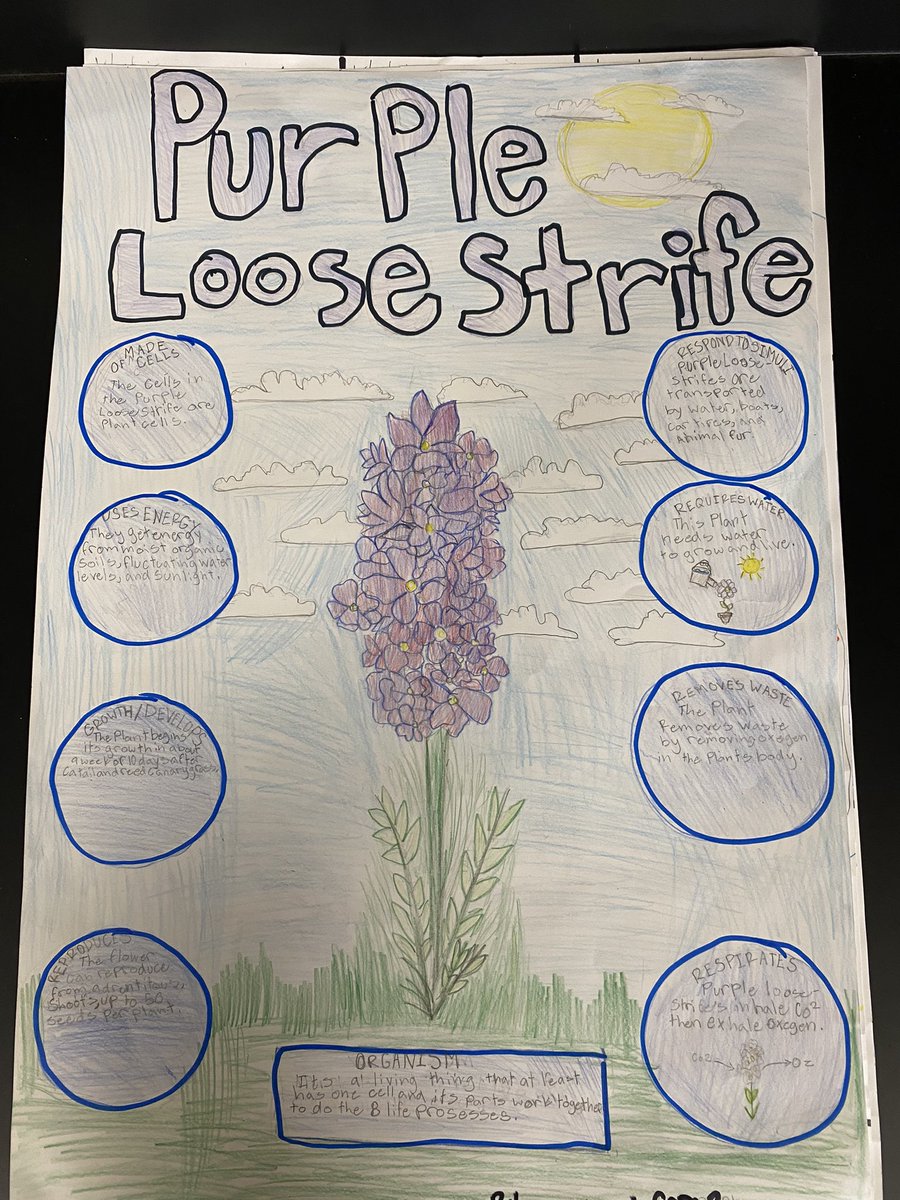 Brian Earls tweet media