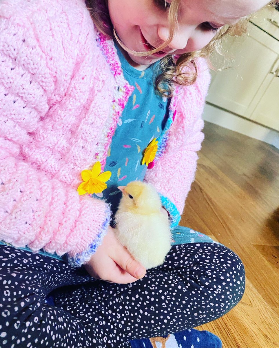 RBWatson3's tweet image. When the chicks met the monsters! #scienceathome @KPS_First