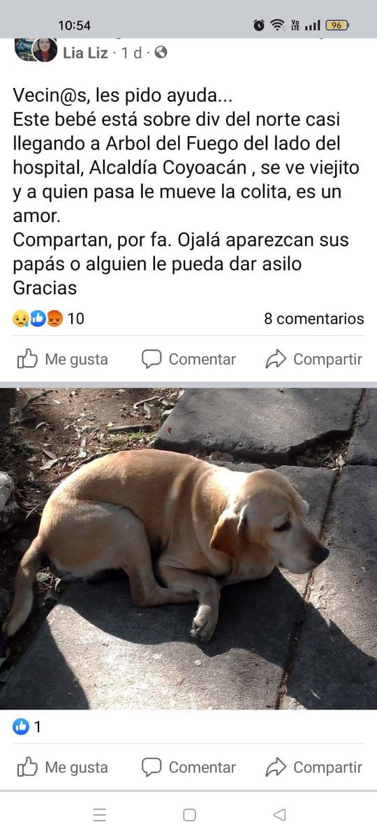 Alina_Gag's tweet photo. Me mandan esto por si alguien en la zona puede ayudar https://t.co/Paa1PHTNrf