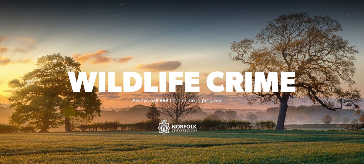 Norfolk Rural Crime - Operation Randall tweet media