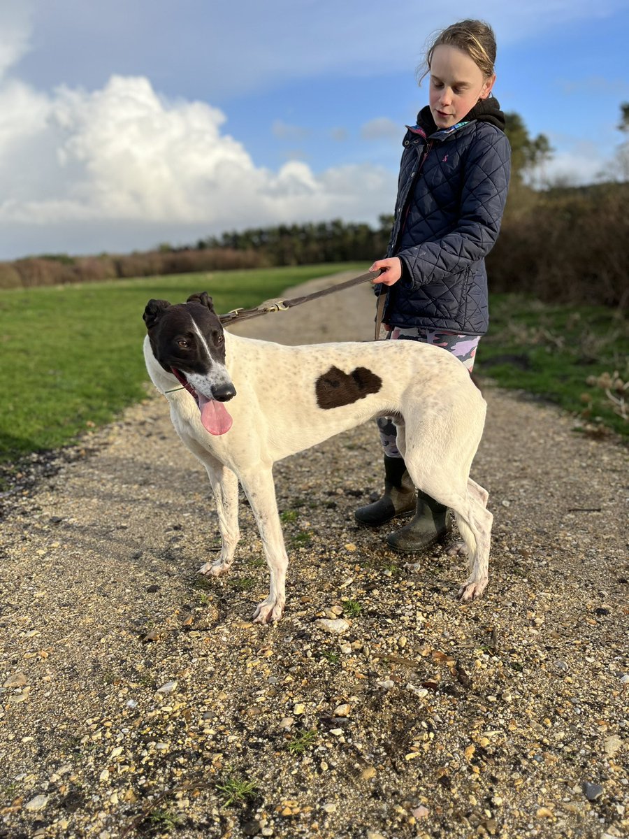 Ciara out walking with her pup Flash 💚

#13months #Britishbreeding #RiversideOscar #SlipperyLouise