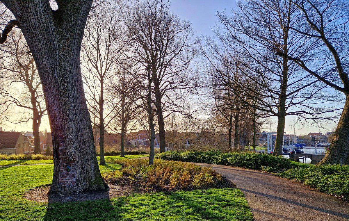 ArjaKastelein's tweet photo. Even niet de blik omhoog... en dan ontdek je deze bewoner... ๐คญ๐๐๐ณ #engelsetuin #Harlingen #Fryslรขn #kabouter ๐ฅฐ https://t.co/54iUkjdU10
