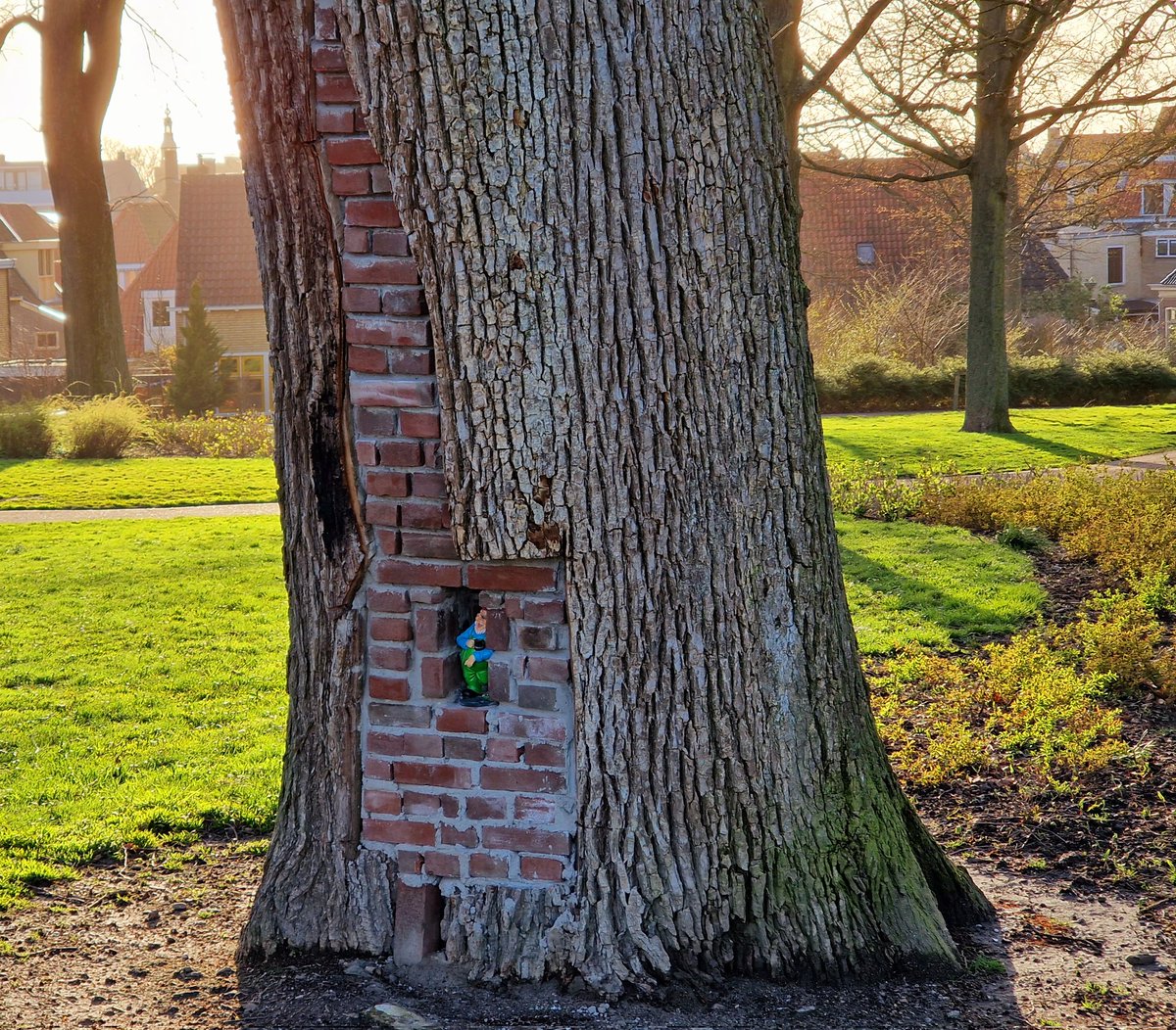 ArjaKastelein's tweet photo. Even niet de blik omhoog... en dan ontdek je deze bewoner... ๐คญ๐๐๐ณ #engelsetuin #Harlingen #Fryslรขn #kabouter ๐ฅฐ https://t.co/54iUkjdU10