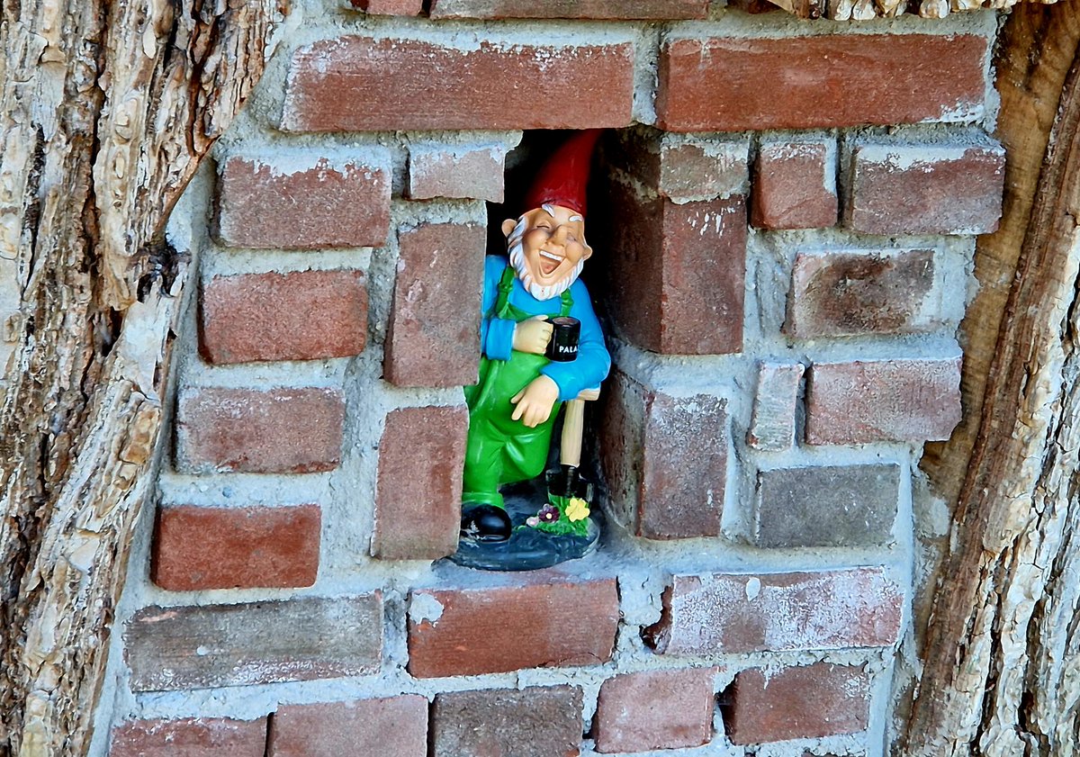 ArjaKastelein's tweet photo. Even niet de blik omhoog... en dan ontdek je deze bewoner... ๐คญ๐๐๐ณ #engelsetuin #Harlingen #Fryslรขn #kabouter ๐ฅฐ https://t.co/54iUkjdU10