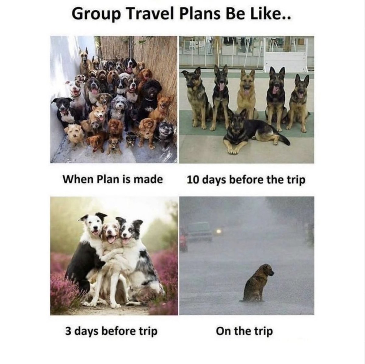 WayAway_io's tweet photo. relatable https://t.co/gCT8rQRrL3