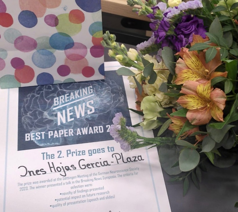 Congratulations to <a href="/ines_hojas/">Inés Hojas</a> for winning the 2nd Prize of the <a href="/NeuroforumNWG/">German Neuroscience Society - NWG</a> Breaking News Best Paper Award 2023! 🎉🍾🥳

#ElectronTomography #presynapse #neuroscience #SynapticTransmission #synapticplasticity