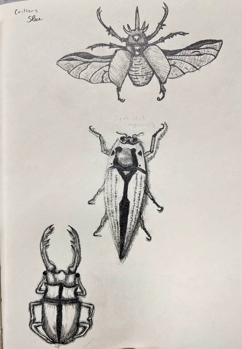 SadeeBee's tweet photo. Have some #sketchbook critters cause I’m bored at work lol. 

#artist #BlackArtist #sketchart #critters #bugsketch #queerartist https://t.co/9QKVDYriDm