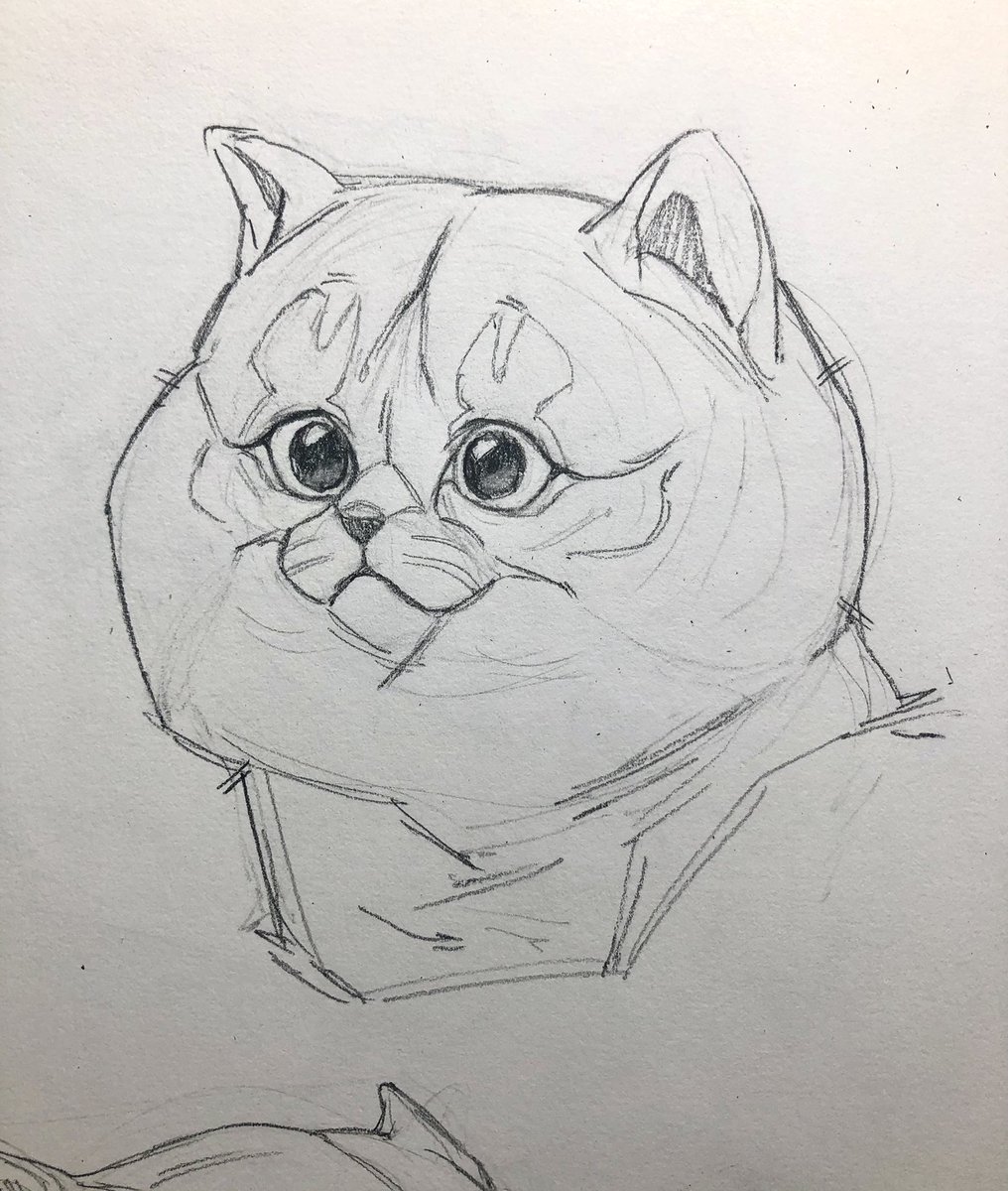 HybridRemmie's tweet photo. After 2.5 years of no traditional drawing, I finally cracked open a new sketchbook ✨ https://t.co/LeGaSR8u6E