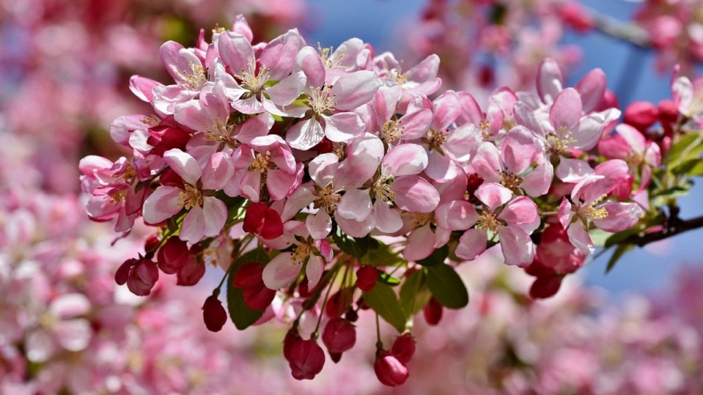 Risalei Nur / Lasiyyemalar / 17. Efrad ve enva arasında, bu’d-u mutlak ile beraber, tevafuk-u mutlak var.
risaleizah.com/17-efrad-ve-en…

#risaleinur #risaleinurkülliyatı #risale #risaleinurokuyoruz #risaleizah #bediüzzaman #saidnursi #tefekkür #risaledersleri #risalesohbetleri