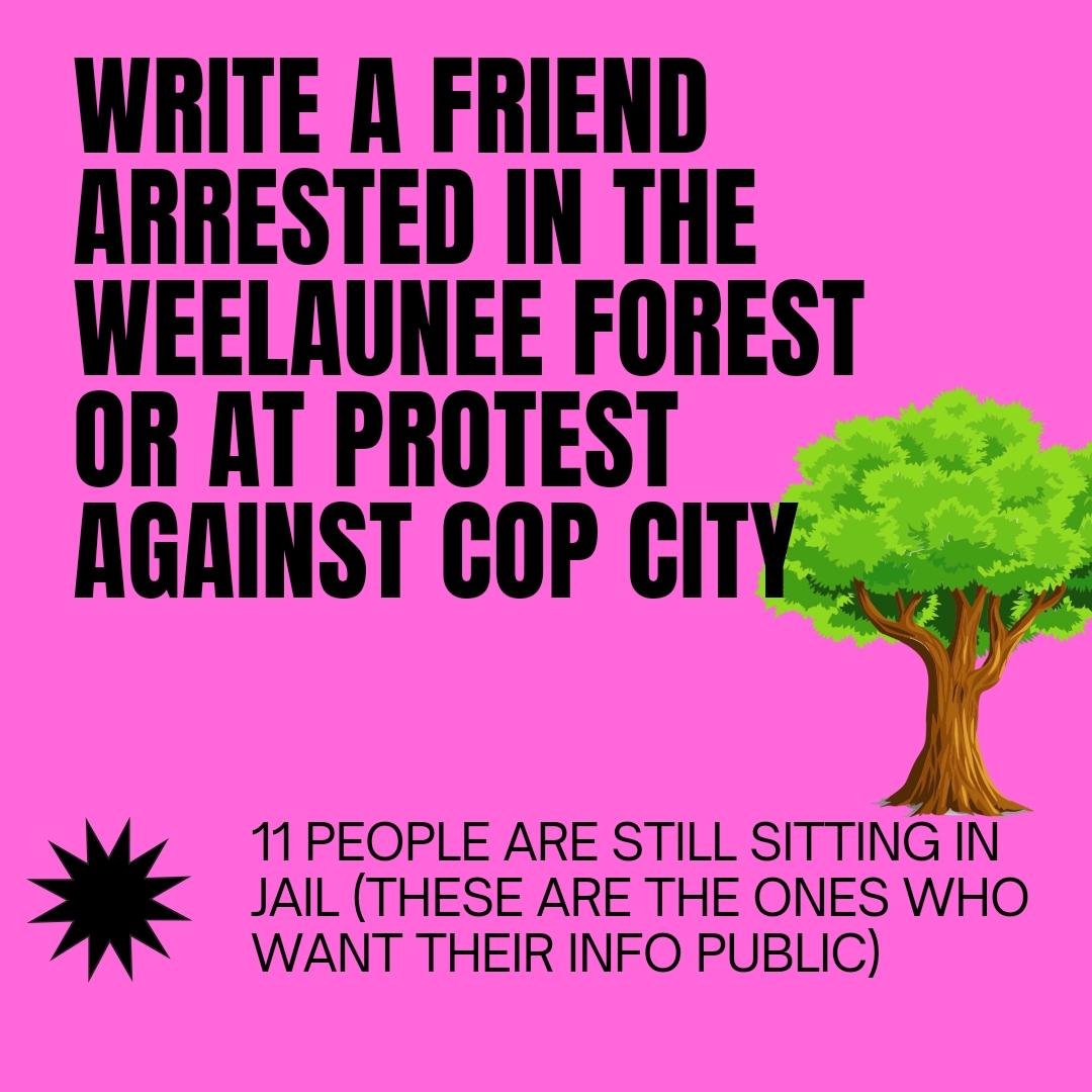 Defend the Atlanta Forest/Stop Cop City tweet media
