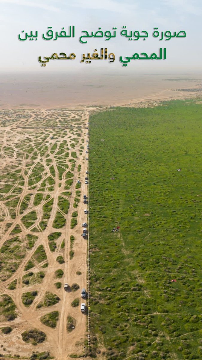 صورة مؤسفة وبليغة لما تفعله المركبات في بيئتنا🇸🇦