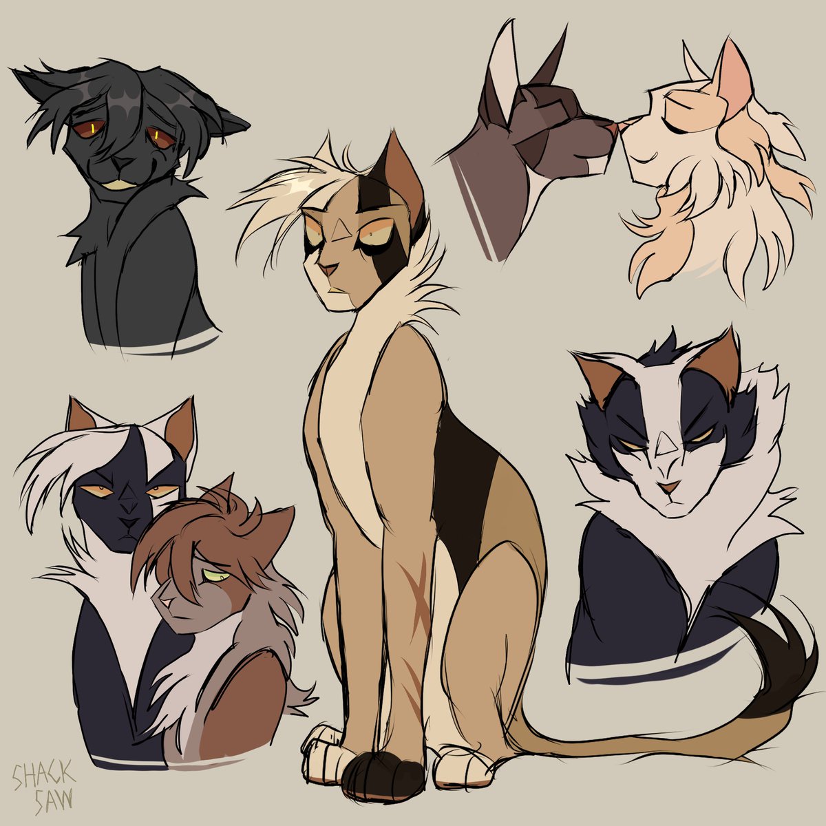 H_Shacksaw's tweet photo. //warriors a starless clan

warrior cat doodles focused on sunbeam and her associates

to me, a starless clan is very silly. i enjoy these silly little cats

#warriorcats https://t.co/2L28YblF6E