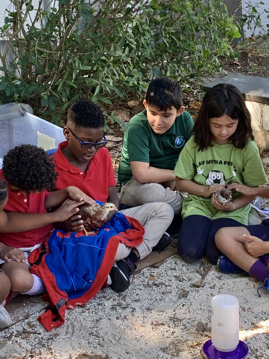 𝓜𝓼.𝓥𝓲𝓷𝓼𝓸𝓷 tweet media