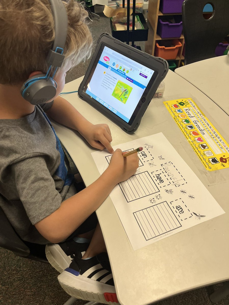 Lauren Perry tweet media