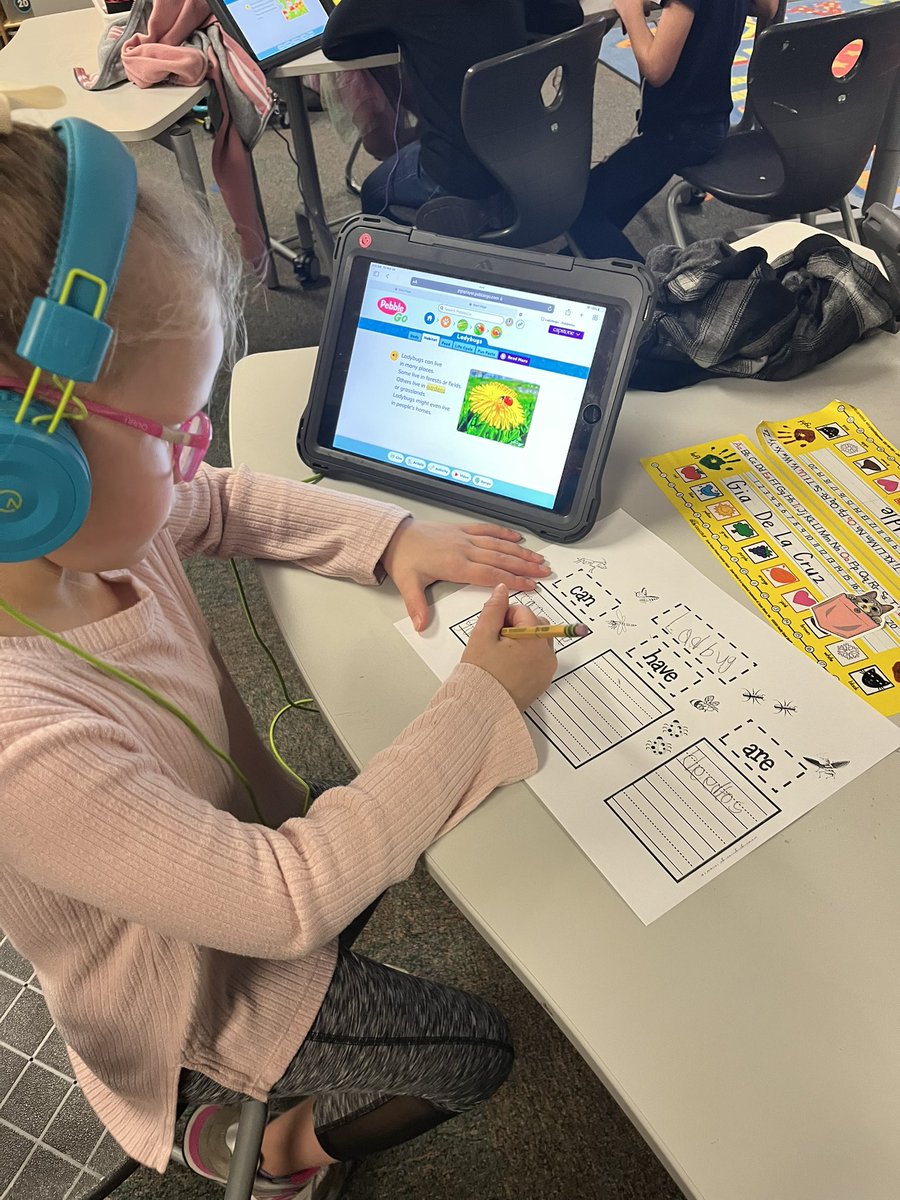 Lauren Perry tweet media