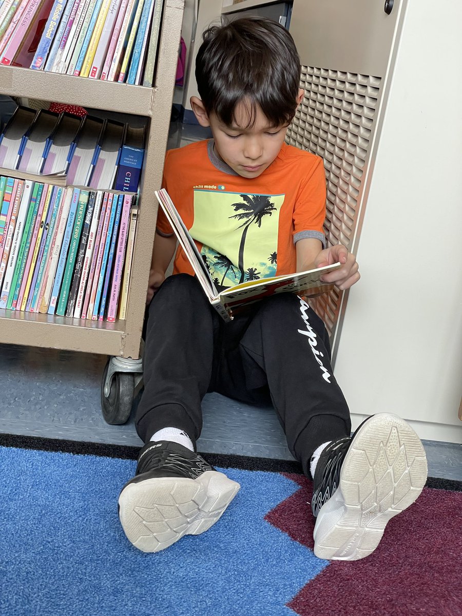 Alison Navarrete tweet media