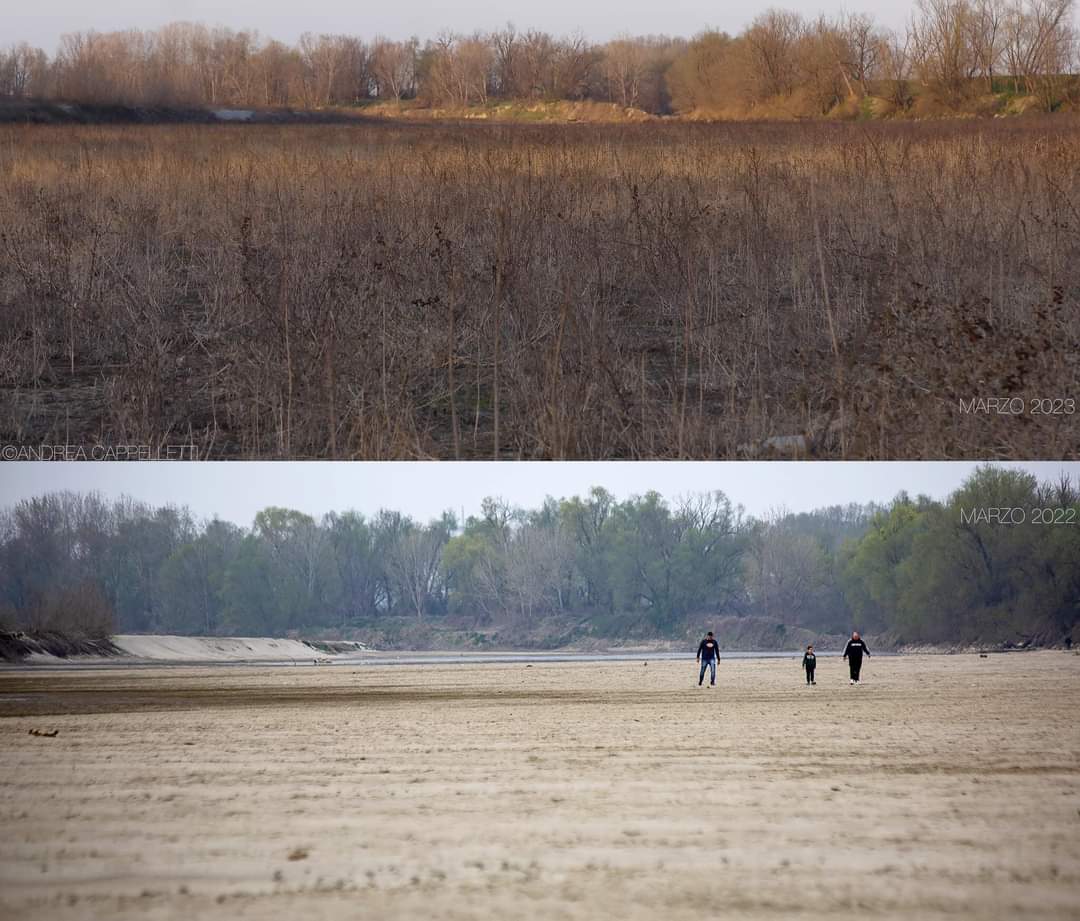 MMmarco0's tweet photo. In basso il Po a Marzo 2022, in alto il Po a Marzo 2023. Non solo non c'è più acqua ma il perdurare della siccità sta facendo crescere anche della vegetazione spontanea. https://t.co/OWZNLBH1GU