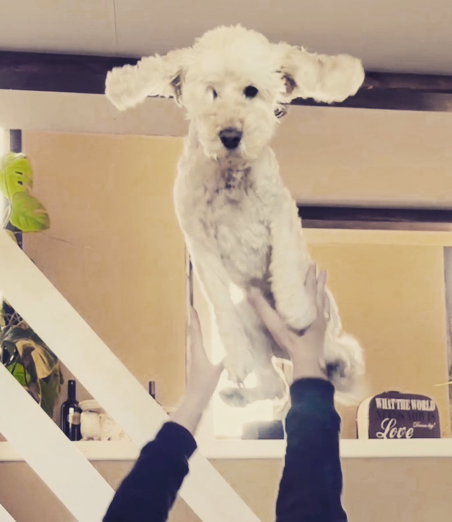 Happy Friday #Coopernators!

What are your plans for the #weekend?
Comment down below and let us know your activities! 👇

We are completing all the things we want to finish and after that we start with #marketing! 🥳

Have a great weekend #Coopernators! ❤️

#web3 #web4 #crypto