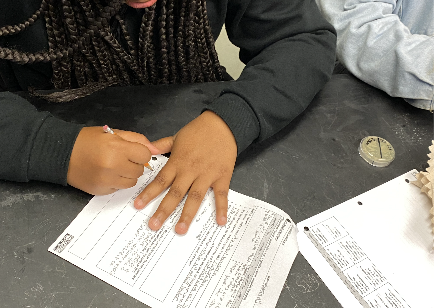 Huge thanks to @BABEC_org for providing training and consumables. This year, 8th grade students @mlk_ms piloted a 4 day antibiotic resistance lab as budding microbiologist! @SFUnified #biotech