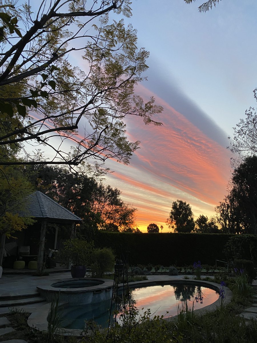 Lisa See tweet media