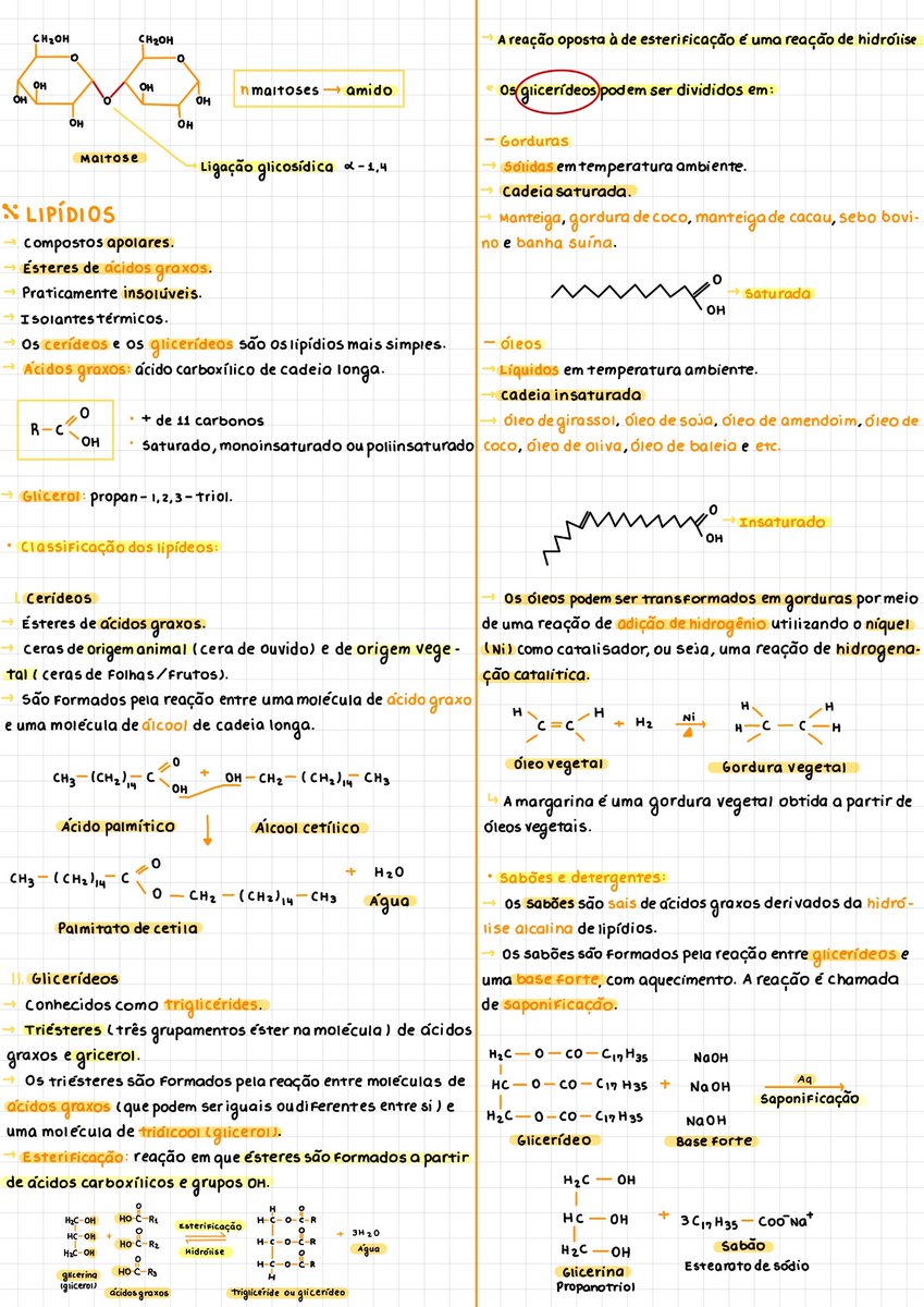 lanastudyin's tweet image. ✨Eu lembro que esses dias alguém tava procurando resumo de bioquímica, então vou repostar os meus!