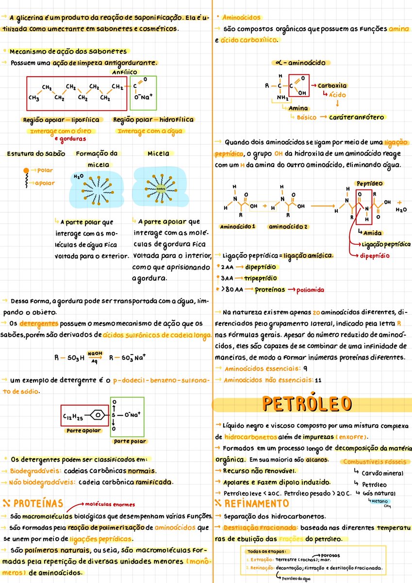 lanastudyin's tweet image. ✨Eu lembro que esses dias alguém tava procurando resumo de bioquímica, então vou repostar os meus!