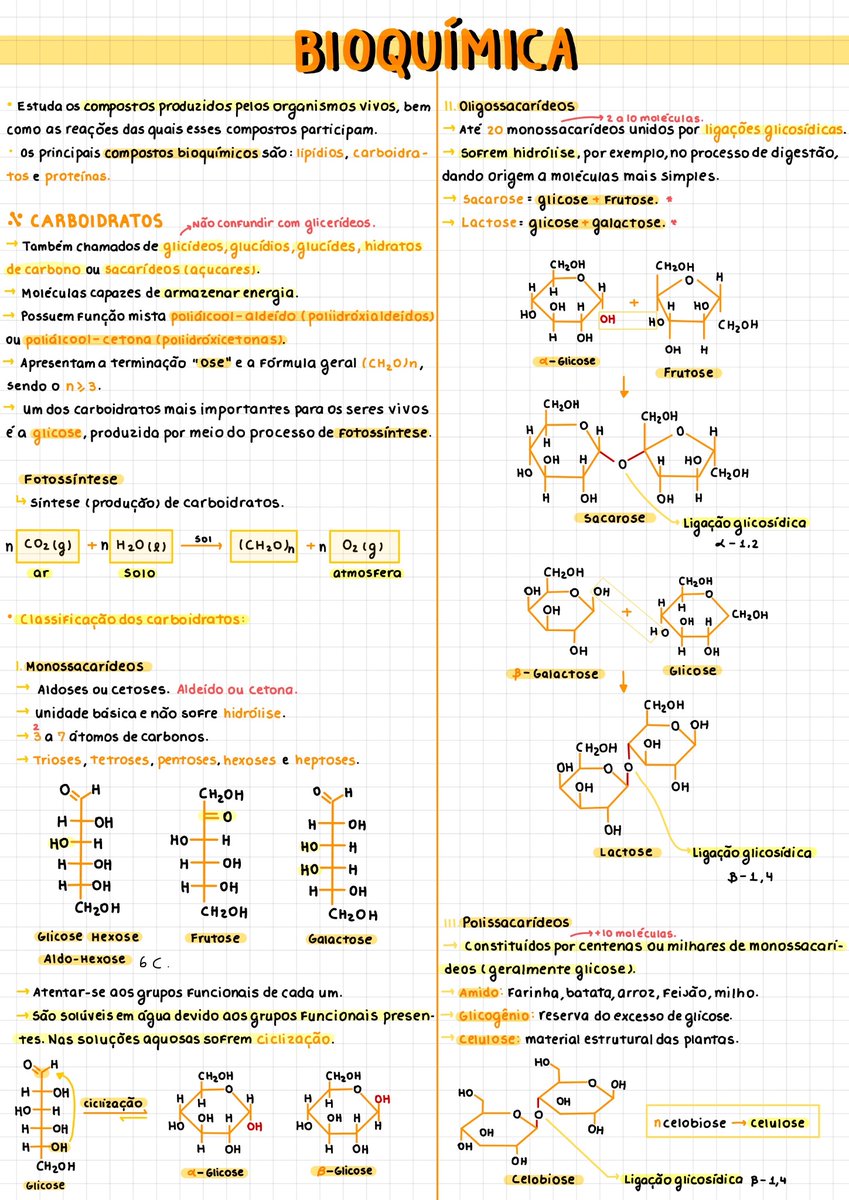 lanastudyin's tweet image. ✨Eu lembro que esses dias alguém tava procurando resumo de bioquímica, então vou repostar os meus!