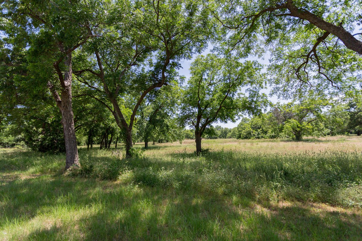 ArlingtonParks's tweet photo. Our #ParkOfTheWeek is Kelley Park! This 35-acre linear park offers a multi-purpose trail that connects with adjacent park trail systems. Kelley Park has plenty of shaded natural area for a lovely picnic. Top it off with a nature hike or bike ride on the trail!
4195 W Arkansas Ln https://t.co/DIqzCX4FNO