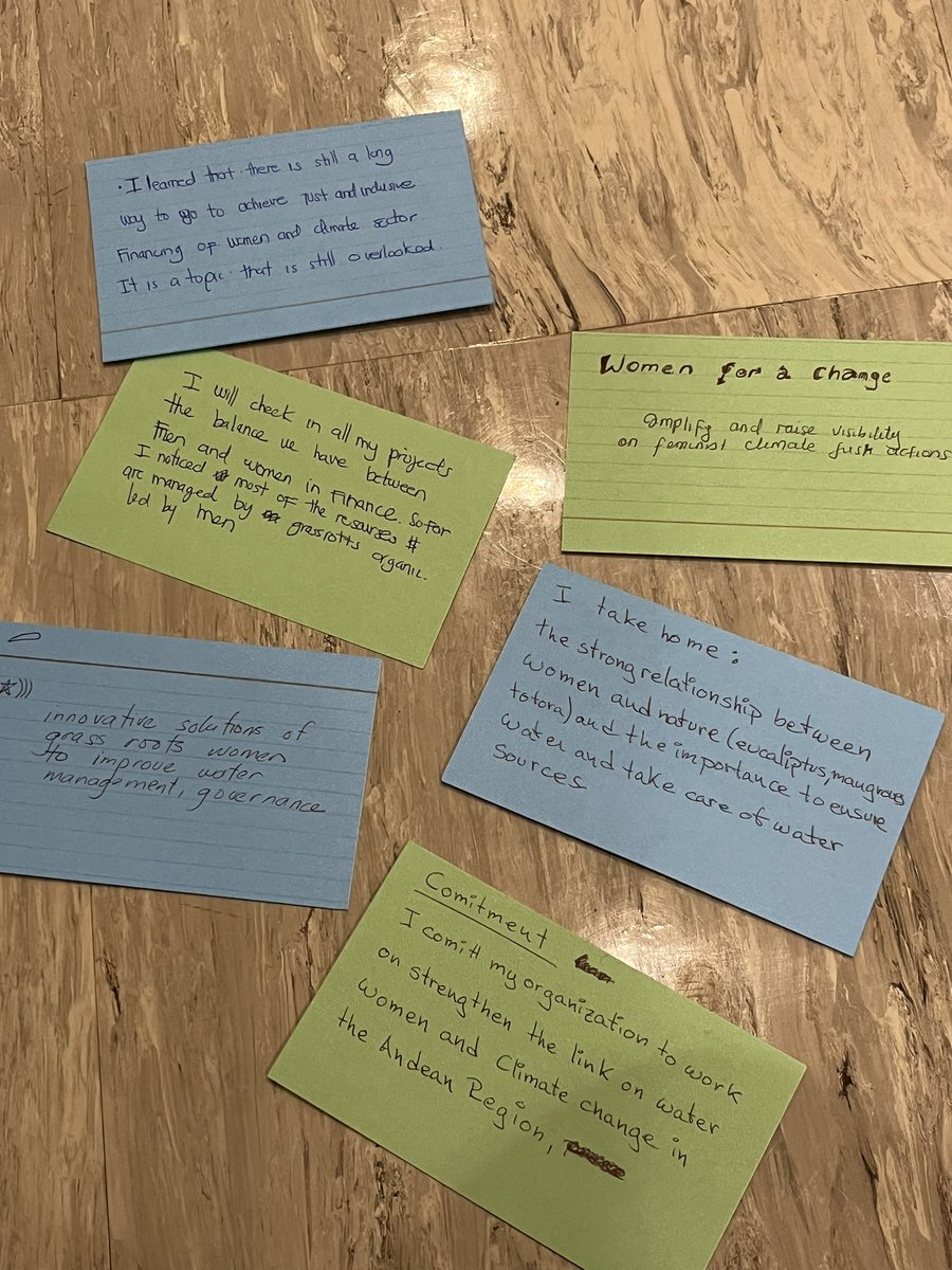 GAGGA_Alliance's tweet photo. 💚💙 The „take homes“ and commitments from the participants of our side event yesterday on the urgent need to finance and support #genderjust climate and water solutions  at the #UNWaterConference - and the need to deinvest from false climate solutions! 💦 #WaterAction https://t.co/HlMZ4WjxiM
