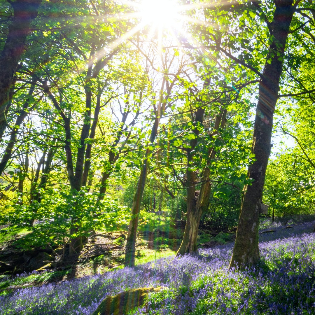 Dash4it's tweet photo. Stunning Spring Scenery 😍

Nothing beats the beauty of UK Springtime 🌼

📷 Jonny Gios
 📍 Kendal, South Cumbria

Don't forget to tag us and use #Dash4Adventure for your chance to be featured!

#Repost #GetOutside #SpringUK https://t.co/GAlLk9LOzt