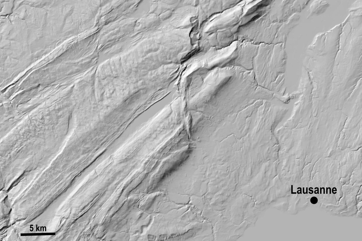 Anindita Samsu tweet media