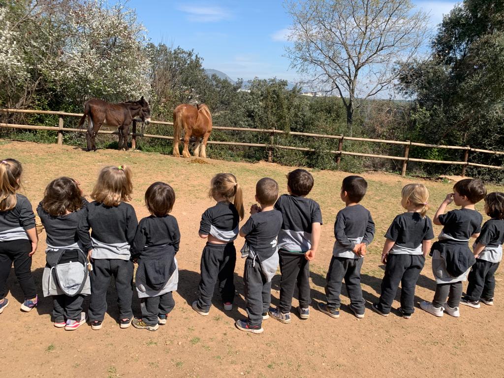 SantNicolau's tweet photo. Per tancar el projecte dels animals de la granja, els nens i nenes d’ #I3SN hem anat a la granja de Can Deu a veure’ls i passar un dia meravellós amb ells🐇🐓🐖🐄🐑.
Ens ho hem passat genial!🤗👏🏼
#SantNicolau #EscolaConcertada #EscolaLaica #EducacióInfantil #escola #Sabadell https://t.co/FXNafUwR8j