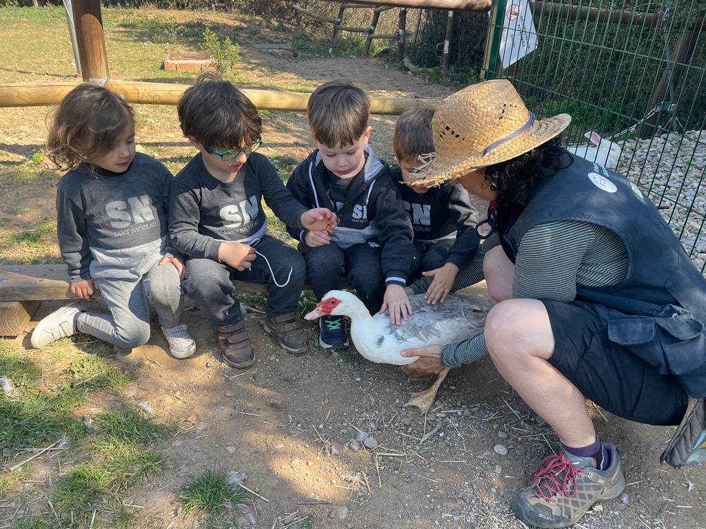 SantNicolau's tweet photo. Per tancar el projecte dels animals de la granja, els nens i nenes d’ #I3SN hem anat a la granja de Can Deu a veure’ls i passar un dia meravellós amb ells🐇🐓🐖🐄🐑.
Ens ho hem passat genial!🤗👏🏼
#SantNicolau #EscolaConcertada #EscolaLaica #EducacióInfantil #escola #Sabadell https://t.co/FXNafUwR8j