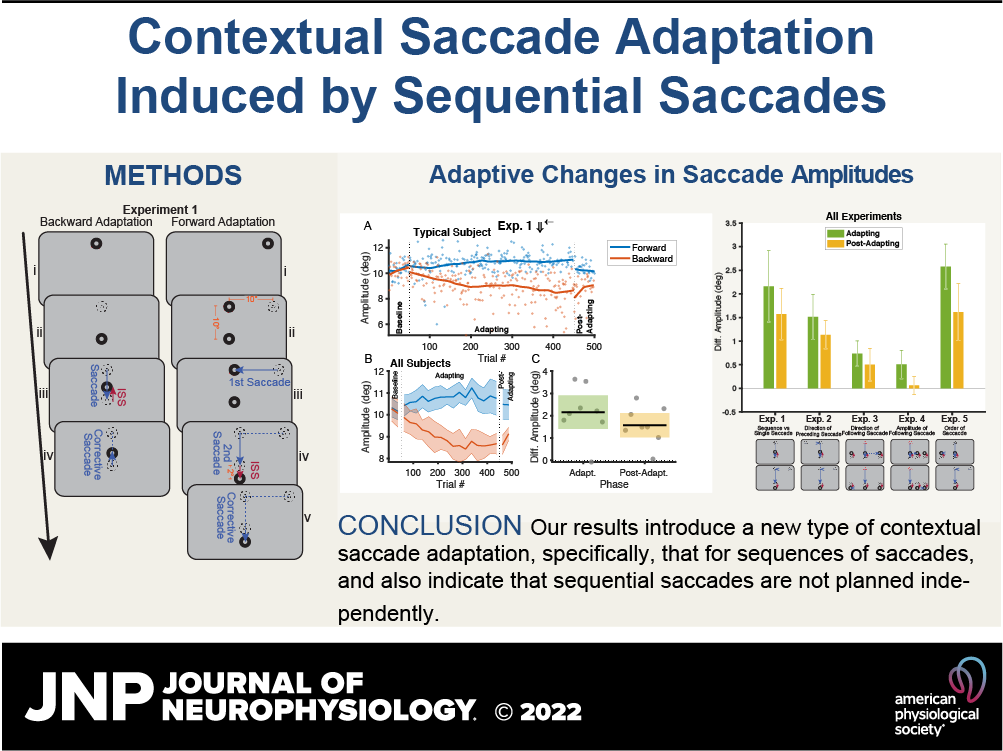 JNeurophysiol's tweet photo. 🔓Available to Read! 🔓This study reveals a new type of contextual #saccade adaptation: sequential saccades are able to induce contextual #SaccadeAdaptation when direction, amplitude, or the existence of preceding & following saccades are used as contexts.
https://t.co/a0ee6WV0t6 https://t.co/5jq9M65PMP