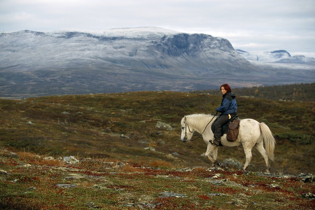 thepowermedium's tweet photo. SÃ¡mi Hauntings and Resisting Colonization - Public Parapsychology https://t.co/WyFC6quoJe https://t.co/zxqwBBK2GO