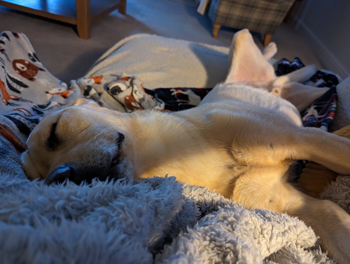 Cuddled up with my baby boy on the couch...baby girl cuddled up with daddy 💕 Perfect night 💕