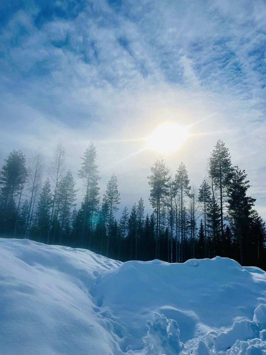 Irene Calboli tweet media