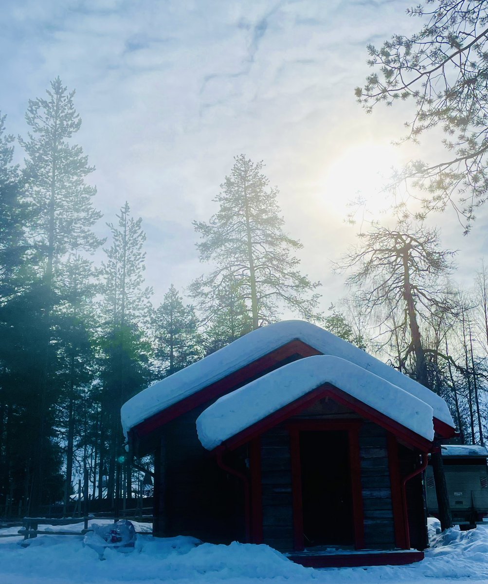 Irene Calboli tweet media