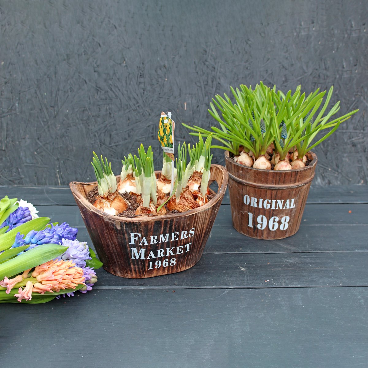 Vintage Wooden Planter

As we're getting closer to Easter, we have two new planters for you, themed with traditional symbols to celebrate the festival of new hope. (Product 1 of 2)

greendoorflorist.com/product/vintag…

#greendoorstyle