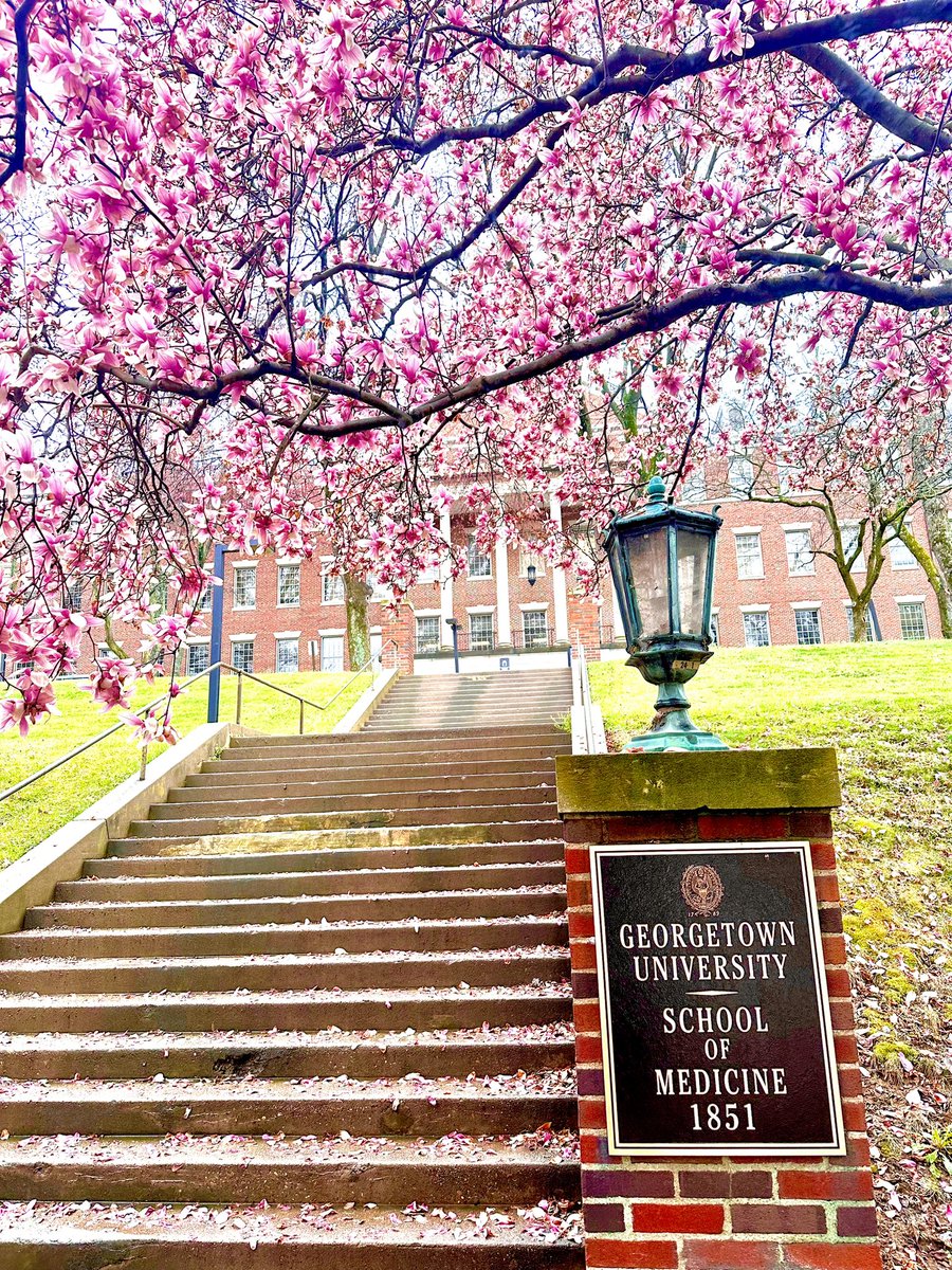 One of the things I’ll miss most about DC is the spring time. Took this on my walk into lab this morning.