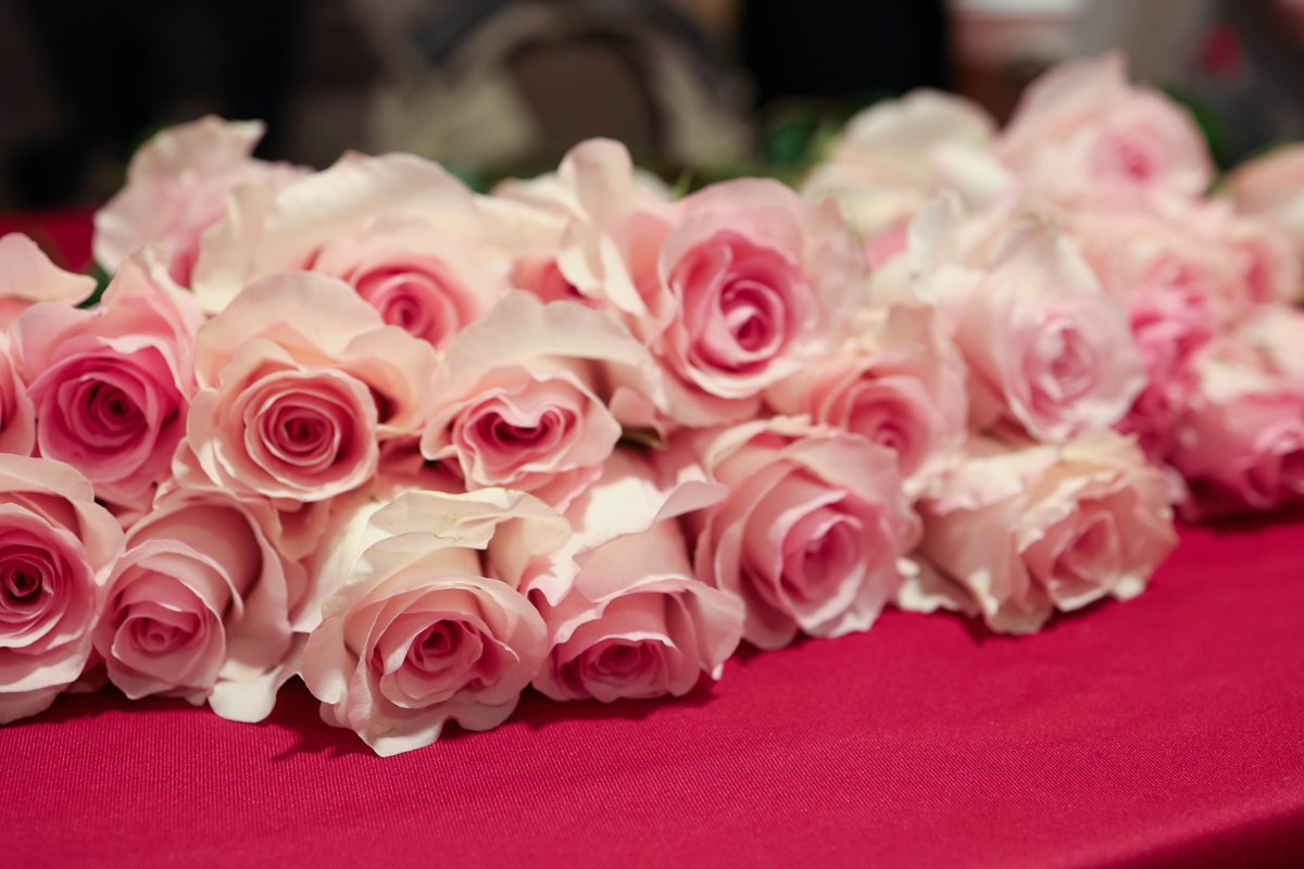 OU_foundation_'s tweet image. In honor of #OUAlumni Dee Atkinson and Ted Bibbo's friendship, we asked students to share stories about the friends they've made here on campus. To learn more about Dee, Ted and the reason behind the pink rose, bit.ly/3uNdcxn