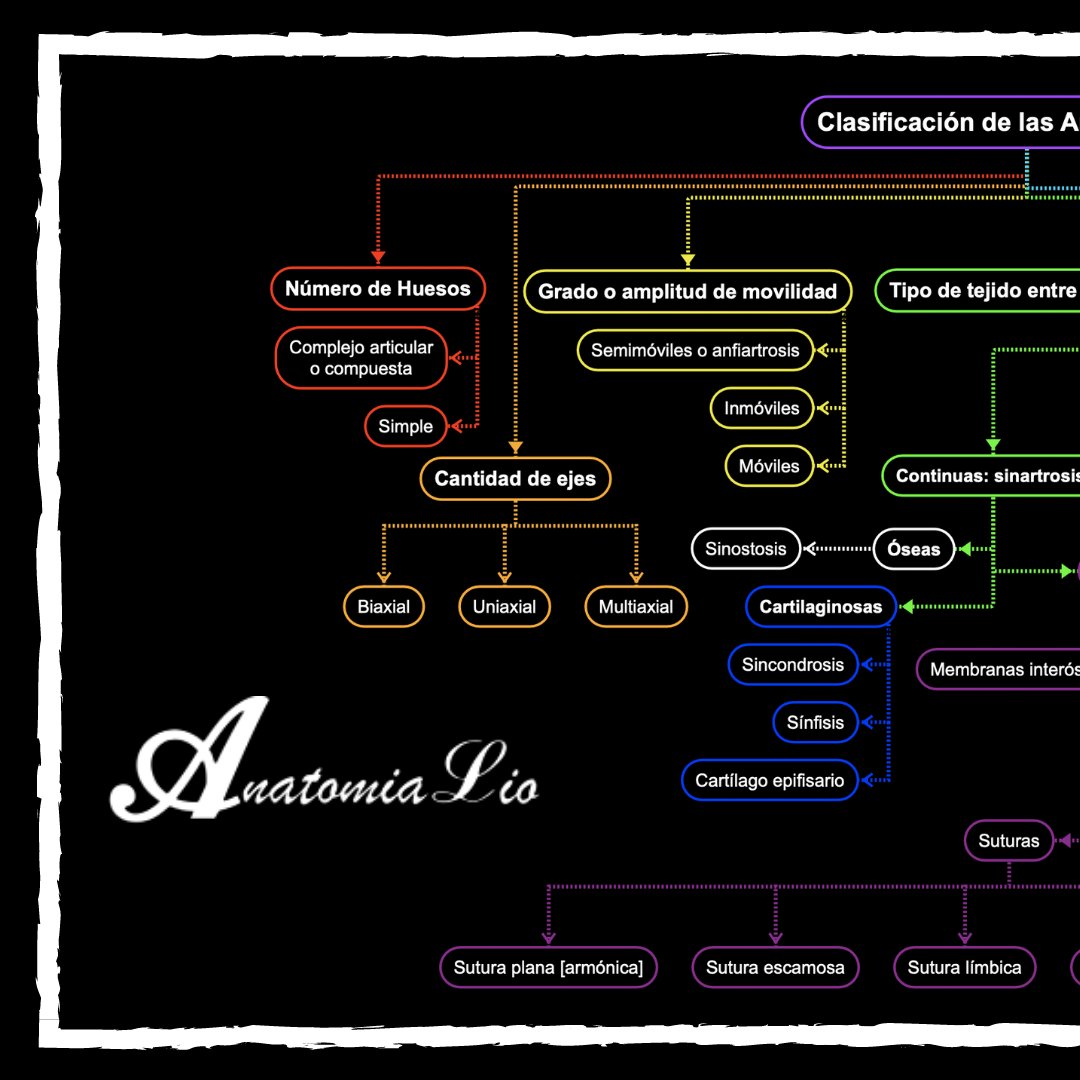 anatomialio's tweet photo. Les dejo el esquema que vimos sobre clasificación de articulaciones.
#Articulaciones #Generalidades #L1
Clasificación de Articulaciones https://t.co/lQs4h3ADAy
