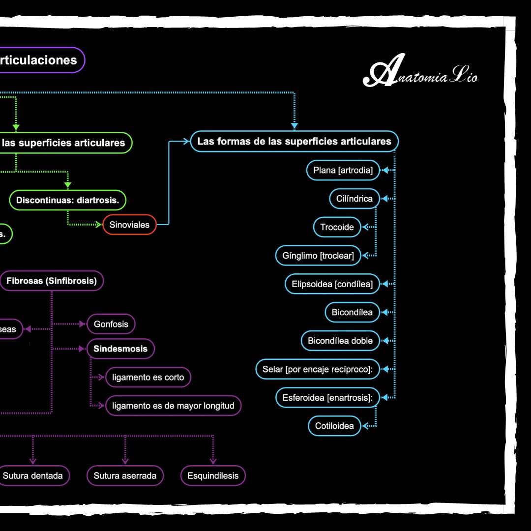 anatomialio's tweet photo. Les dejo el esquema que vimos sobre clasificación de articulaciones.
#Articulaciones #Generalidades #L1
Clasificación de Articulaciones https://t.co/lQs4h3ADAy