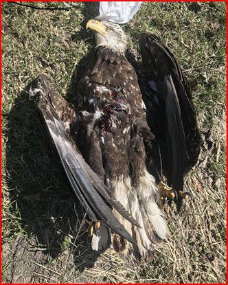 TeeMaxi's tweet image. A short story written in Nigeria....

Attack !!!!                        End of story