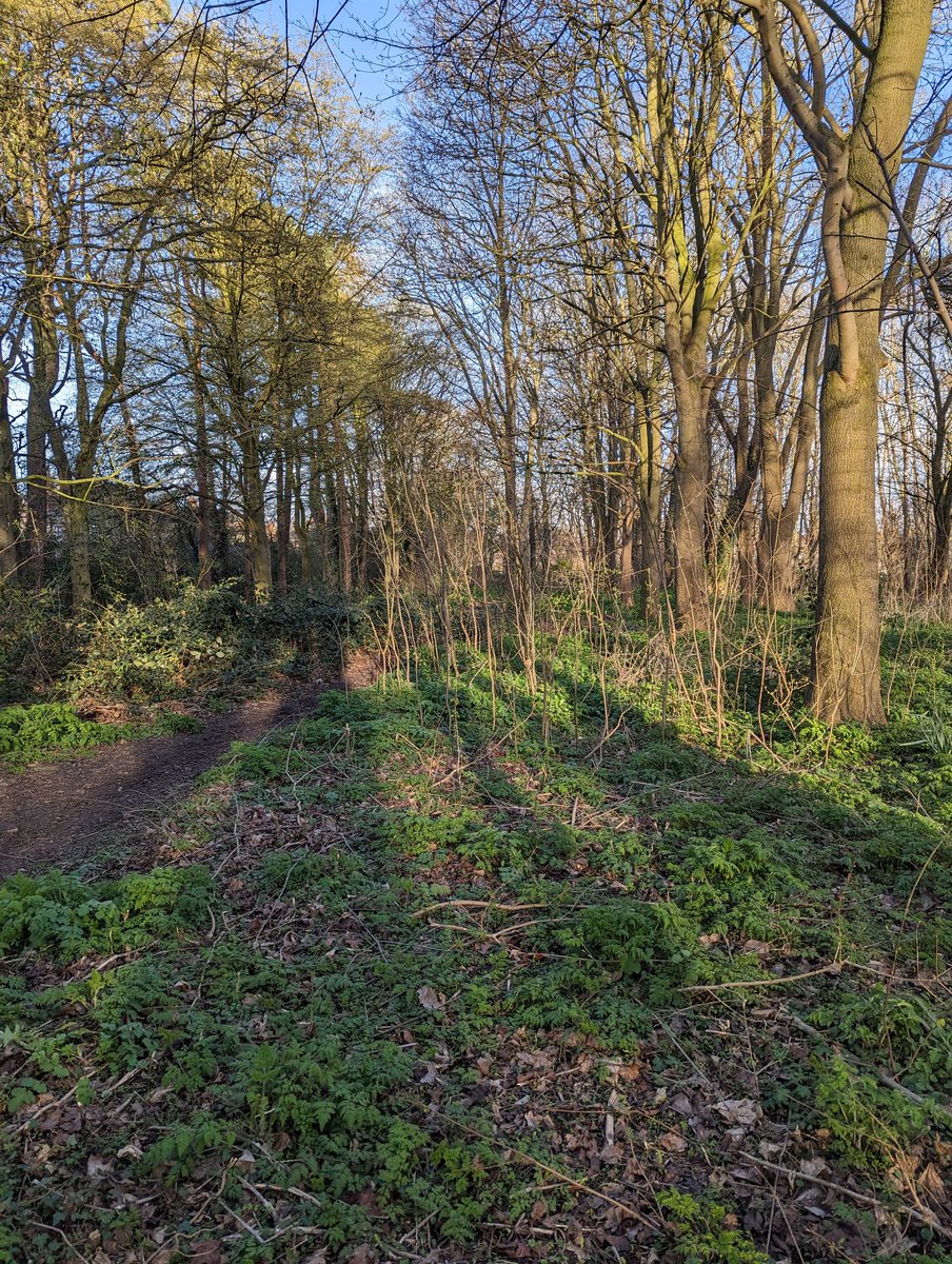 PCSOAndyW's tweet photo. Revisited Cambridge Park today for further reassurance patrols and discuss plans for a new NHW group in the area. Then school leaving patrols outside both Grange Primary and Western Primary. Foot patrol of Kingston Woods & other local parks #Yarborough #BusyShift #InYourCommunity https://t.co/bB1Q6sT7og