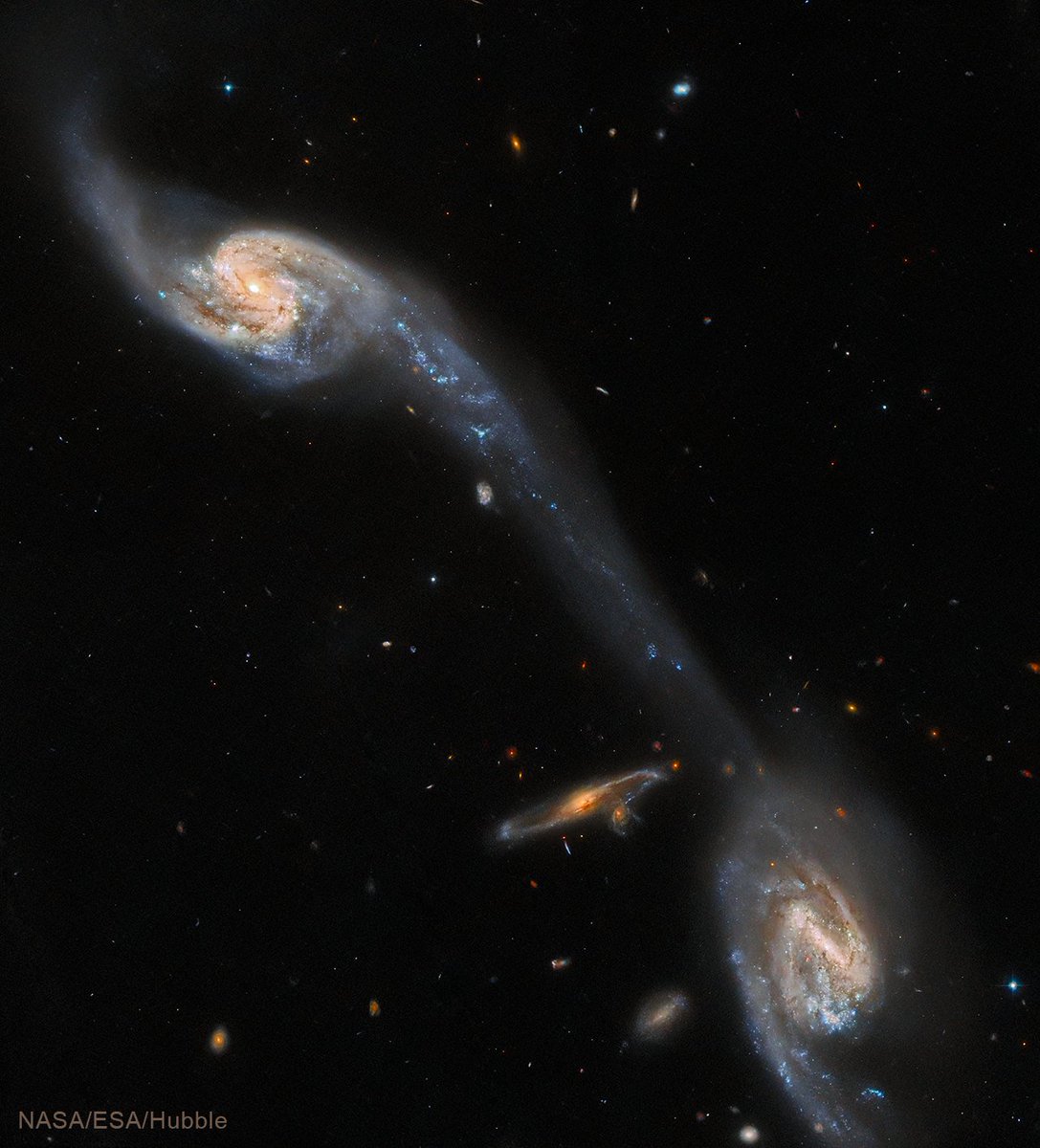 Today Chandra is studying a galaxy in Virgo. Nearby in the sky is Arp 248, three galaxies also known as Wild's Triplet. Two of the galaxies in the triplet are shown in this image, complete with the elongated stream of stars and interstellar dust that connects them.